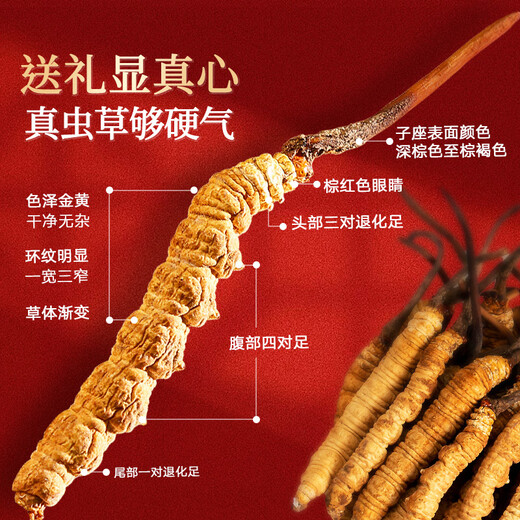 
Tongrentang Brand Beijing Tongrentang Cordyceps Cordyceps Tongtang Gift Box High-end High-end Gift Box for Elders 1 Box 6g Cordyceps Gift Box About 5 sticks/g (about 30 sticks)