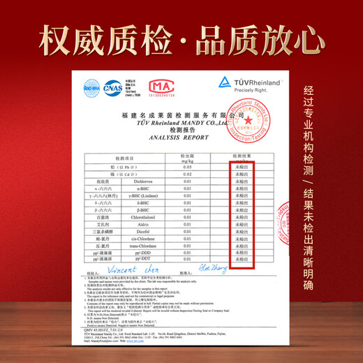 冬海红 藏红花礼盒 中秋节礼盒送老师礼物伊朗特产西红花礼品送妈妈礼物