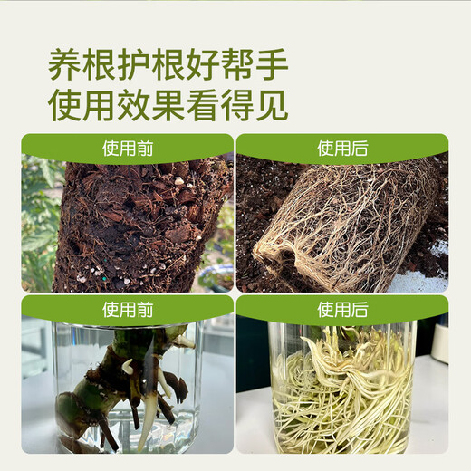Stanley Rapid Rooting Powder Plant Universal Tree Transplanting Powerful Cutting Special 100g
