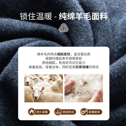 SHANSHAN Shanshan Pure Wool Sweater Men's Winter Sheep Wool Thickened Warm Men's Young and Middle-aged Sweater Blue L (175) /175