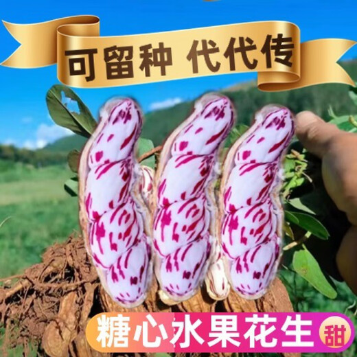 Candied Fruit Peanut Seeds Colorful Peanut Seeds Shelled Fresh Peanut Seeds Colorful Peanut Seeds Candied Fruit Peanut Seeds 100g Selected Belt