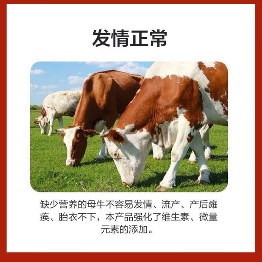 5% Cow Premix Dabeinong Core Technology Estrus Breeding Nutritional Lactation Prevent Postpartum Paralysis 1 pack Get 50Jin Jin is equal to 0.5kg