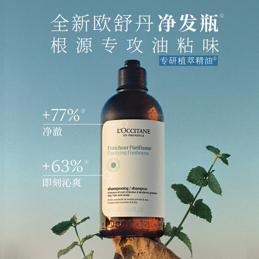 L'occitane Kräuterduft reines Gleichgewicht Shampoo 300ml [Ablauffreiheit]