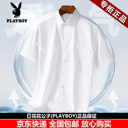 花花公子（PLAYBOY）男士高端长袖衬衫春秋季新款商务休闲翻领条纹透气舒适衬衣上衣 DX6636 常规 39 170cm 体重约120-130斤