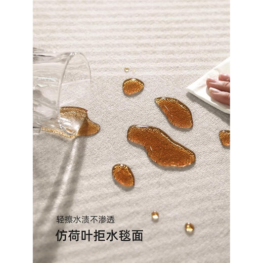 地毯客厅2024感沙发地垫免洗可擦防水卧室厚天津 清蔷-13566 240cm*360cm定制