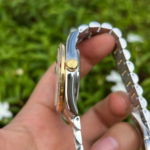 利吉奴品牌皇冠男士全自动机械手表满天星镶钻表防水男士腕表间金钢带 新款满天星-A9926 39mm