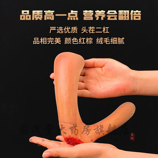 鲜梅花鹿茸 整枝可切片 2024新割头茬含血二杠 泡酒煲汤炖菜均可 【优质鲜鹿茸695克一支】