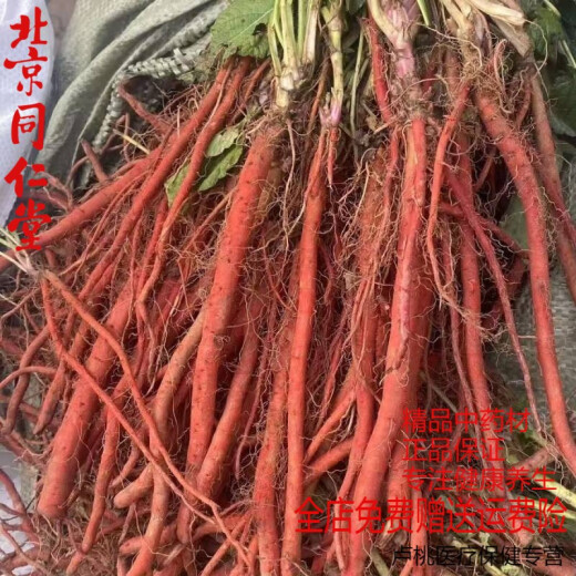 
Beijing Tongrentang [1047 people collect] Salvia miltiorrhiza fresh whole piece is now dug and shipped to ensure natural authentic fresh Salvia miltiorrhiza special grade. Salvia miltiorrhiza digging 500g
