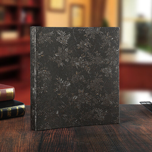 玛磁【3291人收藏】新品相册本家庭大容量纪念册5寸6寸7寸相册影集插页式过塑款400张 皮质-拾光流影 567寸混装过塑款可放200张照片