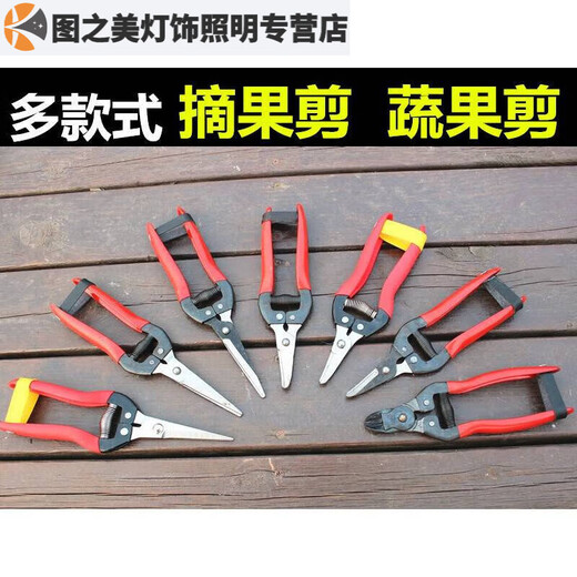 Junmo scissors, fruit picking scissors, citrus scissors, orange picking pepper fruit scissors, fruit tree scissors, grape vegetable and fruit scissors, fruit picking plastic dipped nest scissors