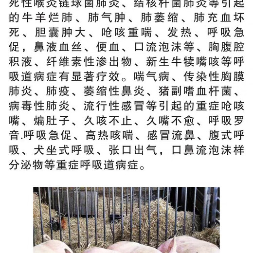 Mucan Veterinary Medicine Variant Pneumonia Severe Cough Rotten Lungs Pig Cattle Sheep Cough and Asthma Pig Pleural Pneumonia Calf Asthma Pregnant Animals Available Cough and Cough Rotten Feikang Injection (1 set of 3 boxes) A+b+c