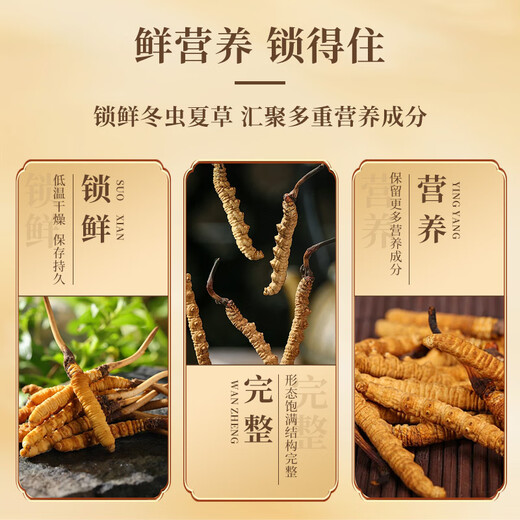 内廷上用北京同仁堂冬虫夏草4根/g10克约40根高端礼盒送人礼物送父母长辈