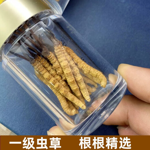 Boîte-cadeau Cordyceps pour les anciens Boîte-cadeau Cordyceps pour les aînés Boîte-cadeau Cordyceps pour les anciens