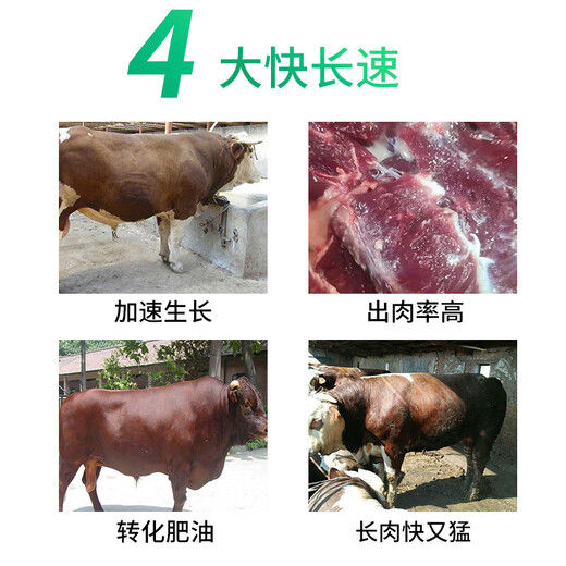 Ying1meier cattle and sheep feed additives for fattening, beef cattle fattening, growth-promoting fertilizer premix for fattening, fattening, fast lean meat, multi-shot 8 real hair 10