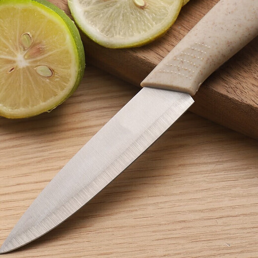 Cuchillo para pelar frutas de acero inoxidable, juego de dos piezas, pelador de cuchillos para melón y frutas para el hogar, cocina, cepillo multifuncional, raspador, cuchillo para pelar + cuchillo para frutas, juego de dos piezas