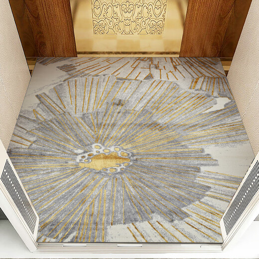 Hushang Houshang Home Villa Home Elevator Floor Mat Special PVC Пол для автомобиля может быть врезан в входную дверь коврик ZQ695-2 1 номер.