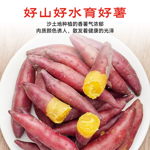 Jingxiansheng Lin'an Tianmu Mountain Small Sweet Potatoes, net weight 5Jin Jin is equal to 0.5kg, single fruit is about 100-200g, sweet, soft and waxy, with thin skin, straight from the source
