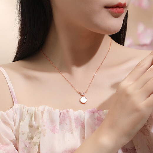 Wanlifu S925 Silver Light Luxury Style incrusté Collier de couronne zircon pour femmes coréennes polyvalentes géométriques rond à la chaîne transversale Fritillar Bijoux Dy826 Platine (chaîne transversale) 925 argent