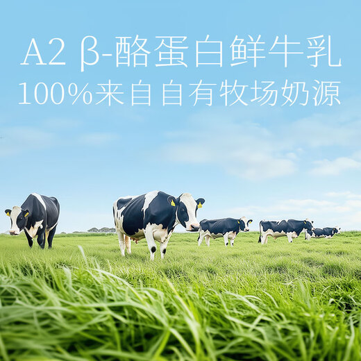 Adopt a Cow Lemon Gold Pomelo Ice Cream 65g*4 Pack Ice Cream Series Popsicle Ice Cream OCC