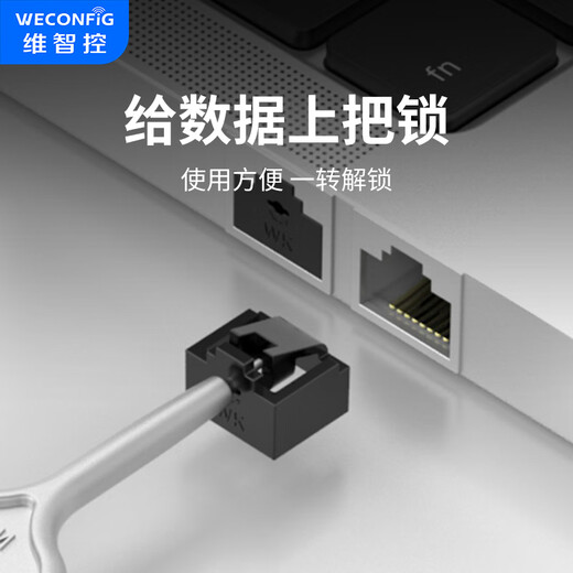 Weizhikong network port lock network port blocker network port dust plug network cable port plug plug removable sealing plug embedded / black (10 pieces + 1 tool)