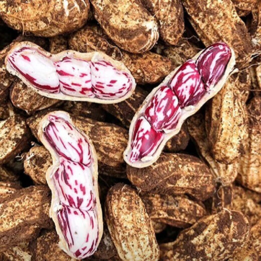 Candied Fruit Peanut Seeds Colorful Peanut Seeds Shelled Fresh Peanut Seeds Colorful Peanut Seeds Candied Fruit Peanut Seeds 100g Selected Belt