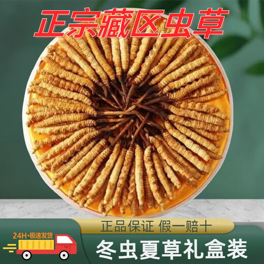 Xina Tibetan Cordyceps Cordyceps Snow Mountain Cordyceps Cordyceps King Snow Mountain High Altitude Nutritional Gift Box Pack Full Network Price Comparison Tibet Nagqu Cordyceps 10 Pack (2 pieces per gram)