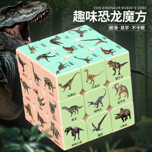 Jianwei Shen Magic Cube Childre