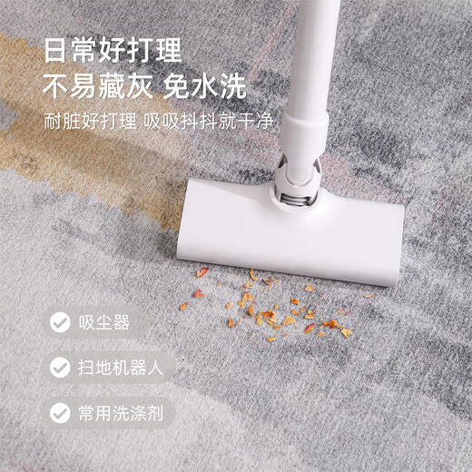 Le salon du tapis se sent moderne, simple, lavable gratuit, à coucher de chambre à coucher de chambre à coucher de chambre à coucher étanché