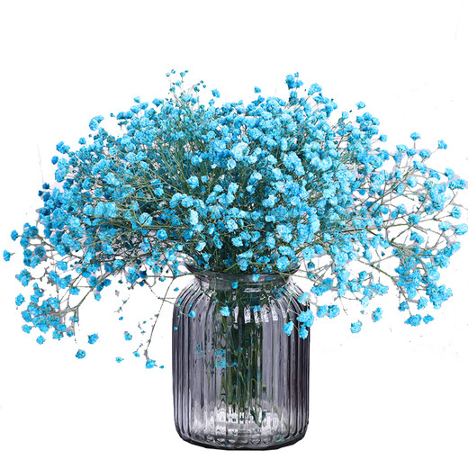 AIMAN dried gypsophila bouquet for home decoration, living room and bedroom decoration, flower arrangement, eternal freshness, birthday gift with vase, white gypsophila + glass bottle, dried flower bag