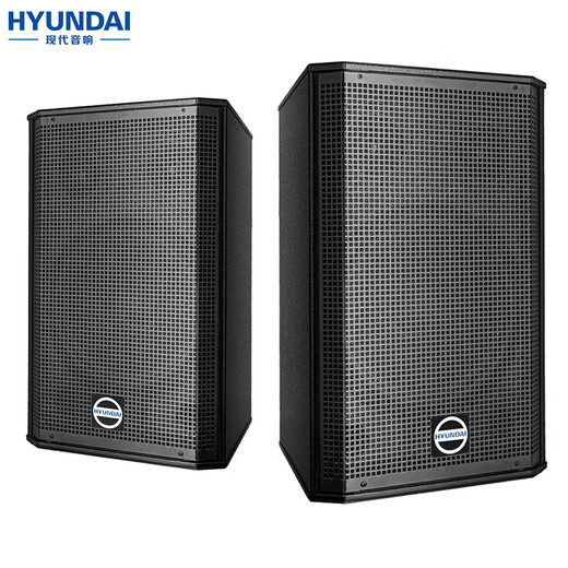 HYUNDAI现代BK10专业中小型会议室音响套装壁挂式音箱蓝牙功放无线话筒组合教学培训店铺音响系统设备 【两音响/双话筒】会议音响套装（20-120平）
