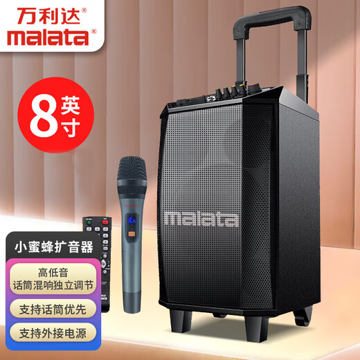 Malata (Malata) M+9015C outdoor speaker pull rod electric acoustic guitar bass folk singing instrument speaker subwoofer square dance microphone outdoor speaker 8 inches L8