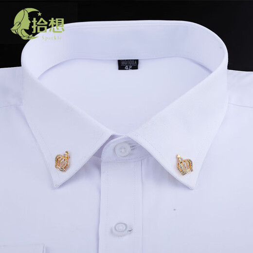 拾想男士胸针高端精致时尚西服男简约胸花商务衬衫领针领扣领花皇冠徽 银色