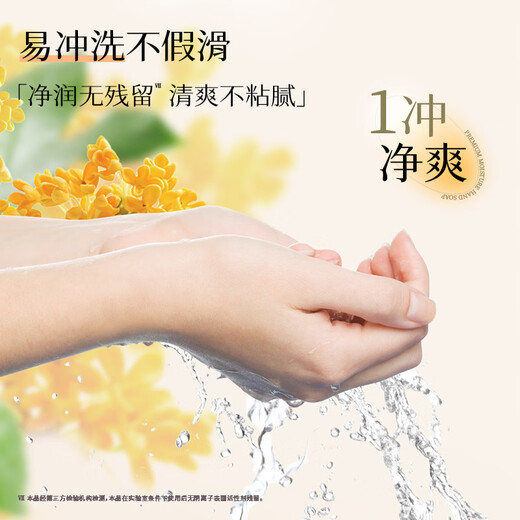 Lion King Qujing Foam Antibacterial Hand Sanitizer Bay Rose 450ml Highly Moisturizing Hydrating Hand Sanitizer for the whole family and children