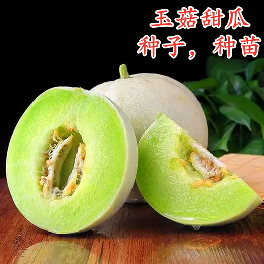 Xiangbin Jade Mushroom Melon Seed Seeds White Skin Green Flesh Super Sweet Ice Cream Xiangyugu Hami Melon Seeds Early Maturing Authentic Four Seasons Jade Mushroom Melon Seeds 10 Original