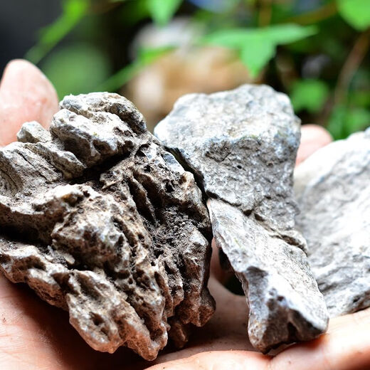 OIMG natural micro landscape original color blue dragon stone aquarium fish tank moss plant potted plant decoration grass tank tropical fish breeding turtle 10-12 cm blue dragon stone buy 3 pieces solid hair 5 pieces