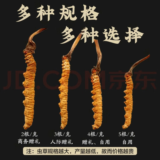 冬虫夏草藏区雪域头茬头期新干虫草多种规格精品高档礼盒送人送礼 藏区虫草4根1克合计100根