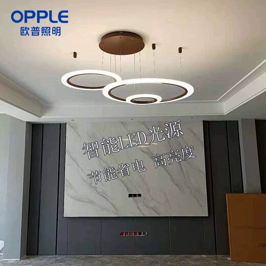 欧普（OPPLE）2025年新款星环吊灯客厅LED静晓 星钻现代简约餐厅灯圆形新款吊线 43_四室两厅C-3878
