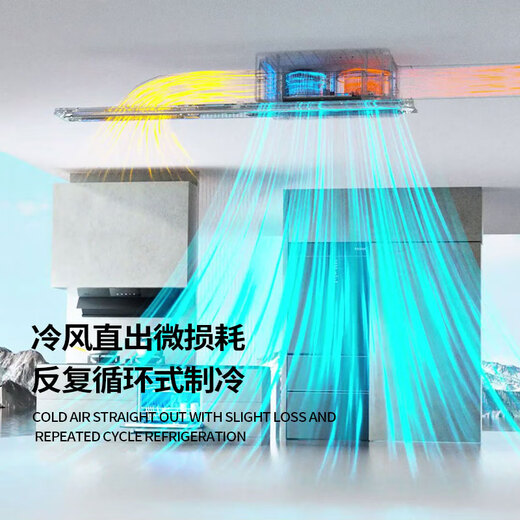 Luyuan (LVYUAN) kitchen air conditioner dedicated single cooling dehumidification cool lighting anti-oil fume ceiling embedded household ceiling hidden all-in-one machine T8/300*600 purification direct blowing air small 1 piece set self-cleaning series-2000W station type-1 hole T8 series