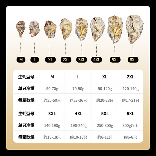 Lighthouse Jellyfish Fresh Rushan Oyster No. 6XL Net weight 5 Jin Jin equals 0.5 kg Straight from the source