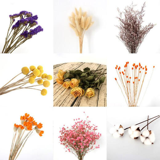 AIMAN (AIMAN) ins air-dried flower bouquet home furnishings small fresh living room flower arrangement internet celebrity decoration baby's breath eternal flower a handful of pink baby's breath dry branches