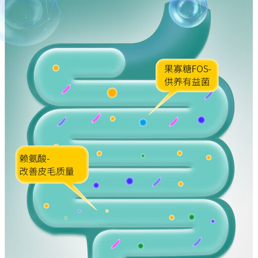 War Donkey Chicken Freeze-dried Cat Food Multi-Purpose Fattening Hair and Gills Full-stage Full-priced Cat Food Staple Food Universal Type for Beautifying and Beautiful Hair Paile Bear Pure Food No Freeze-Drying 10Jin Jin is equal to 0.5kg