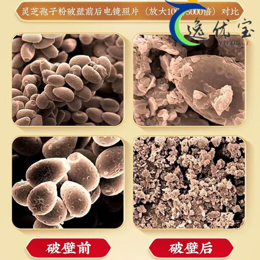 Beijing Tongrentang Tongrentang Certificación de sombrero azul de la pared de ruptura de la pared Ganoderma Polvo para adultos de mediana edad y ancianos Polvo de ganodermia 1 Caja 40G [Box de regalo 1 Box 40G [paquete de experimentos] [Polvo de pared roto en polvo