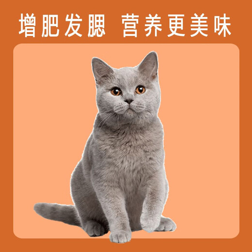 He Jian Gong Cat Food Bulk Universal Type 2.5kg 5Jin Jin is equal to 0.5kg Fish-flavored kitten dry food cat 3Jin Jin is equal to 0.5kg 1Jin Jin is equal to 0.5kg Premium cat food 1Jin Jin is equal to 0.5kg 1lb is subject to the actual taste