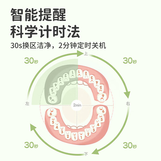 Xiaomi Wolf Sonic Children's Electric Toothbrush 3-6-12-15 Years Old Home Rechargeable Full Body Washable Fine Soft Bristle Brush Head Toothbrush Extra Long Life Deep Cleaning Gum Protection Anti-moth and Stain Remover Rechargeable 3 Brush Head Angel Blue 3-12 Years Old