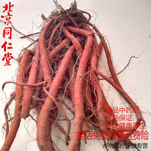 
Beijing Tongrentang [1047 people collect] Salvia miltiorrhiza fresh whole piece is now dug and shipped to ensure natural authentic fresh Salvia miltiorrhiza special grade. Salvia miltiorrhiza digging 500g