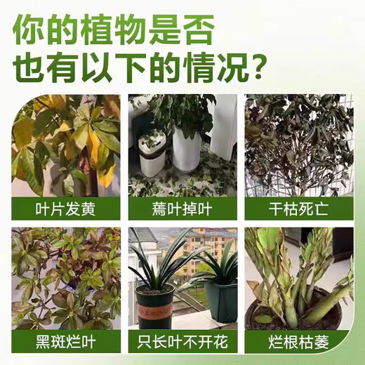 植物再生剂浓缩营养液复活液水培花肥料室内盆栽植物营养液通用型 单盒(6支108g）