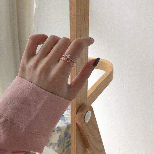 Dai Yan's 2025 new ring, small, fresh, fashionable and personalized open ring, adjustable niche design index finger ring gift, double-layered flower ring in one package