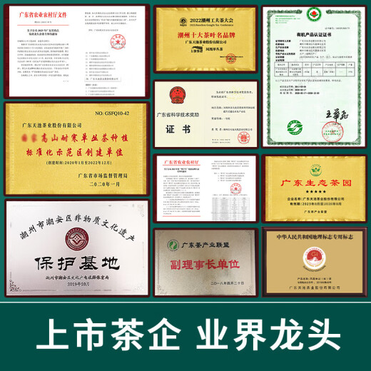 1392大罐320克鸭屎香春茶 凤凰单枞茶 天池茶业单丛茶