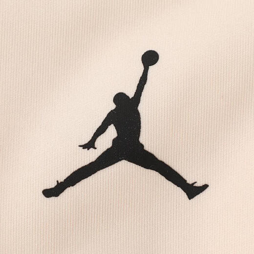 耐克（NIKE）JORDAN SPORT Jumpman 女子中强度支撑速干衬垫运动内衣 FB6873-838 M