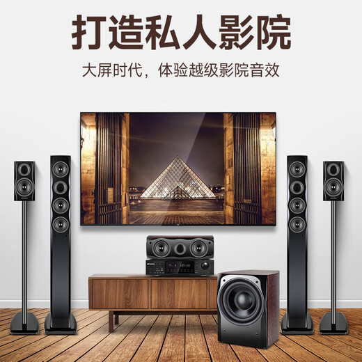 山水（SANSUI） F8 5.1无线家庭影院 木质家庭KTV音响套装 卡拉OK 落地式家居音响 5.1专享版【标配功放20A】